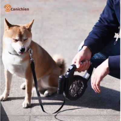 laisse-pour-chien-gris-en-action