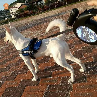 laisse-pour-chien-led-bleu