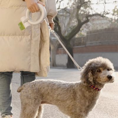 laisse-pour-chien-promenade