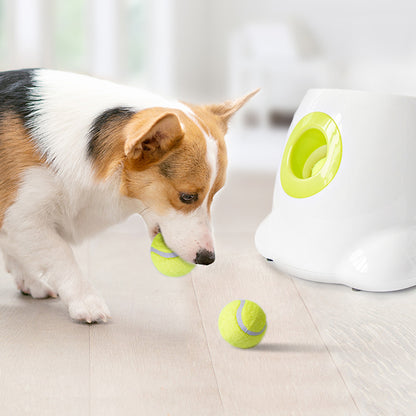 Lanceur de balle pour chien | DoggoRocket™