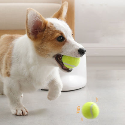Lanceur de balle pour chien | DoggoRocket™