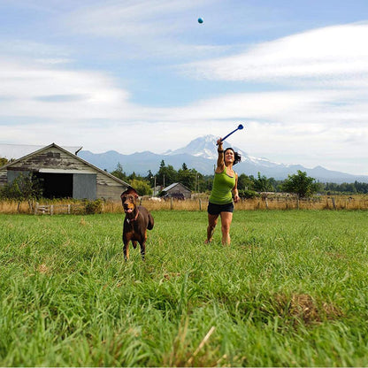 lanceur-de-balle-pour-chien-en-action