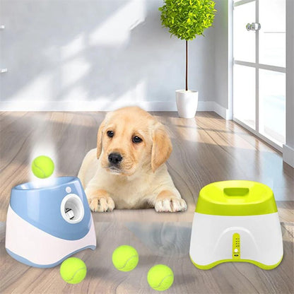 lanceur-de-balle-pour-chien-interieur