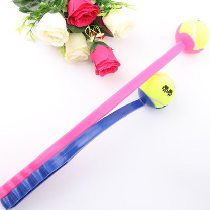 lanceur-de-balle-pour-chien-rose-bleu
