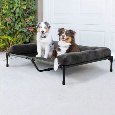 lit-de-camp-chien-ete-hiver-couchage-xxl