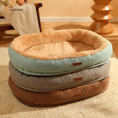 lit-pour-chien-couleur