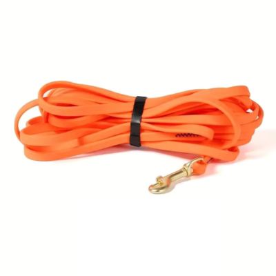 longe-pour-chien-orange