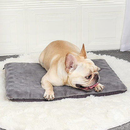 matelas-pour-chien-apaisant