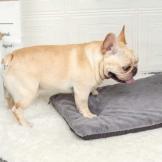 matelas-pour-chien-coussin-apaisant