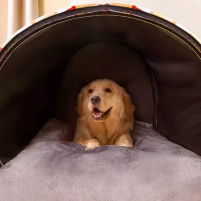 niche-chien-interieur-xxl