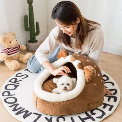 niche-igloo-chien-brun