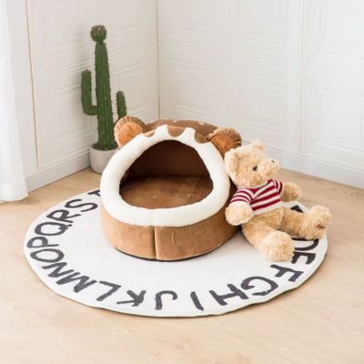 niche-igloo-semi-ouverte