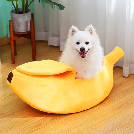panier-chien-banane-petit