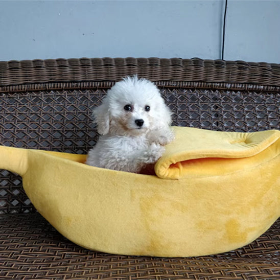 panier-chien-banane