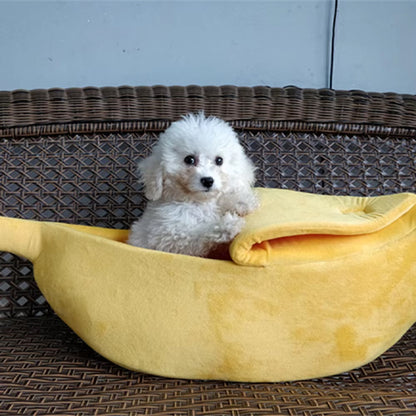 panier-chien-banane