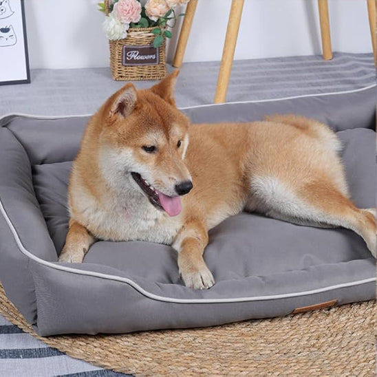 panier-chien-confortable
