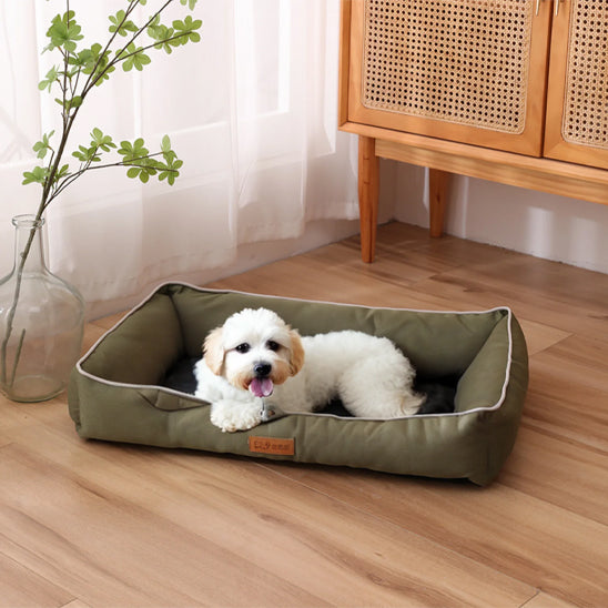 panier-chien-vert