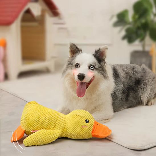 peluche-pour-chien-canard-amusant