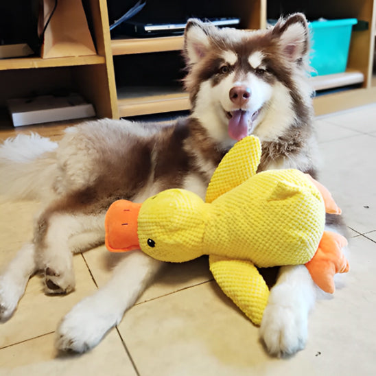 peluche-pour-chien-canard-jaune