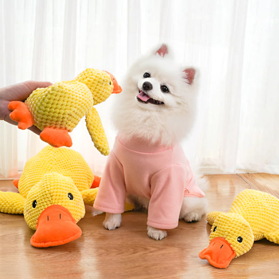 peluche-pour-chien-canard-taille