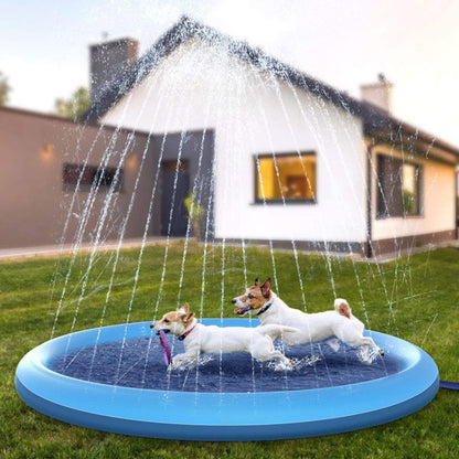 piscine-pour-chien
