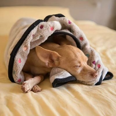 plaid-canape-chien-polaire