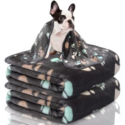 plaid-chien-pate-chaud