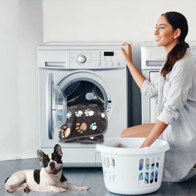 plaid-chien-pate-lavable