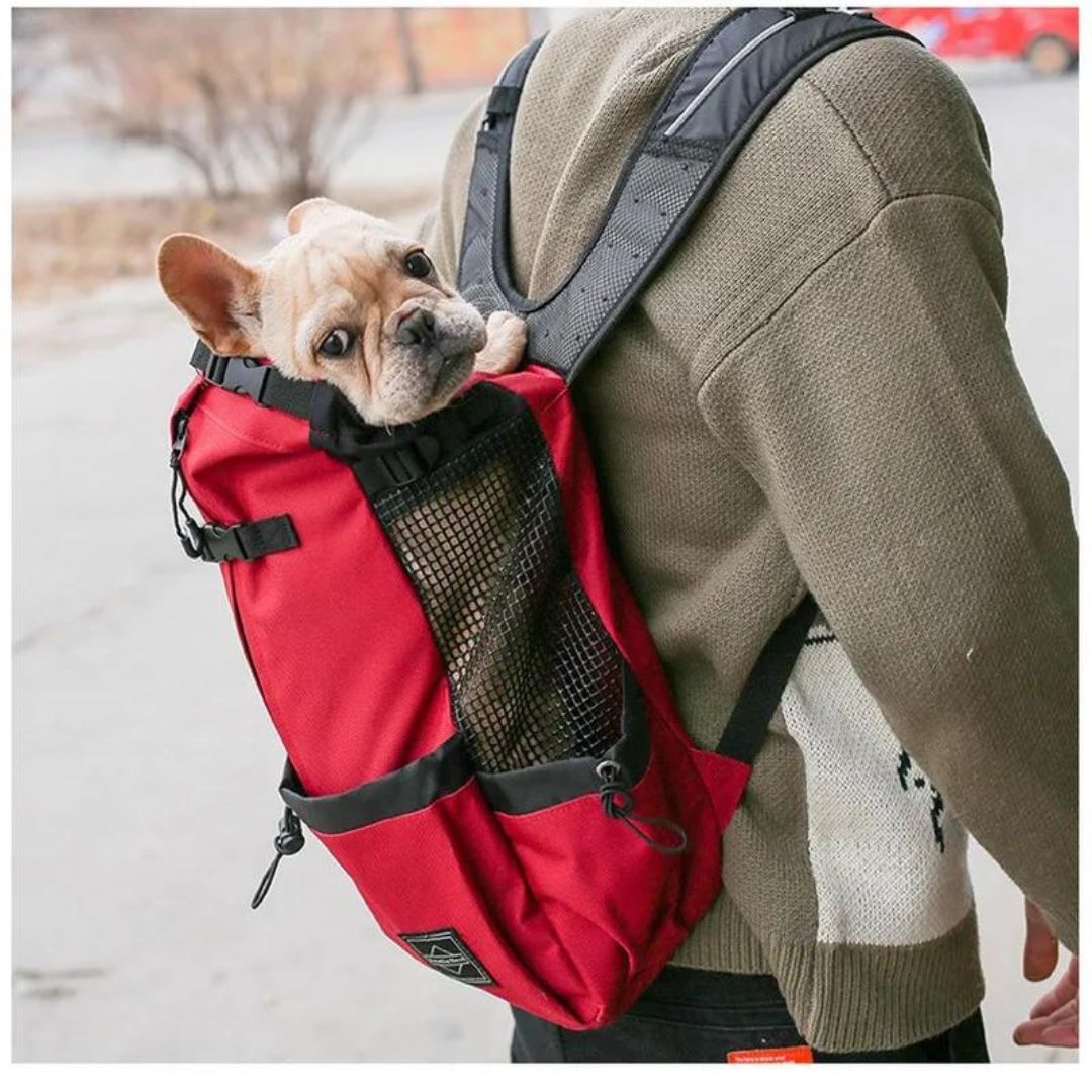 sac-a-dos-chien-rouge