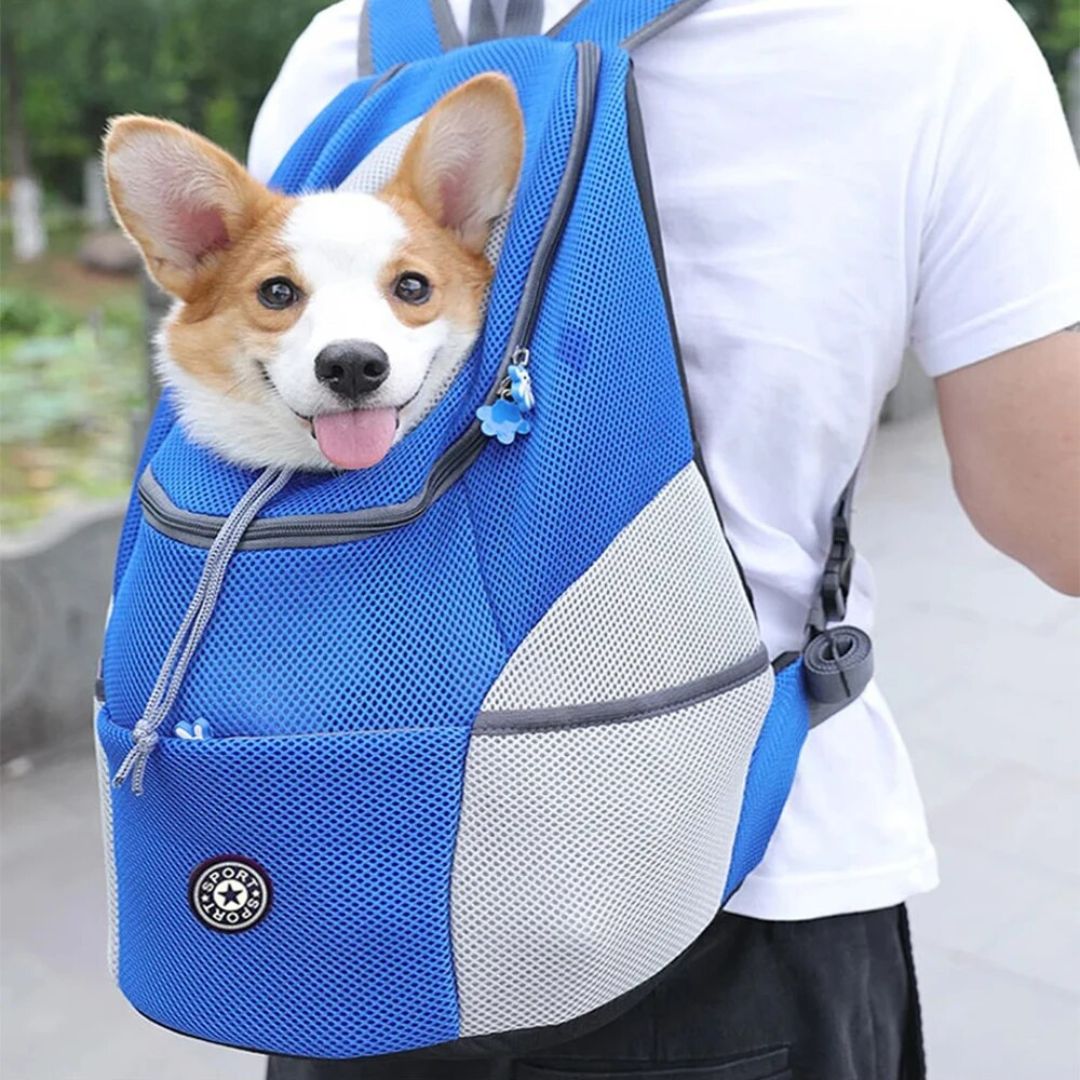 Sac A Dos Pour Chien CaniComfy CANICHIEN sac-a-dos-pour-chien-canicomfy-canichien