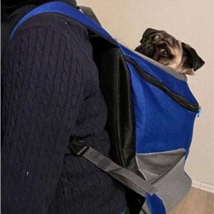 sac-a-dos-pour-chien-bleu-transport