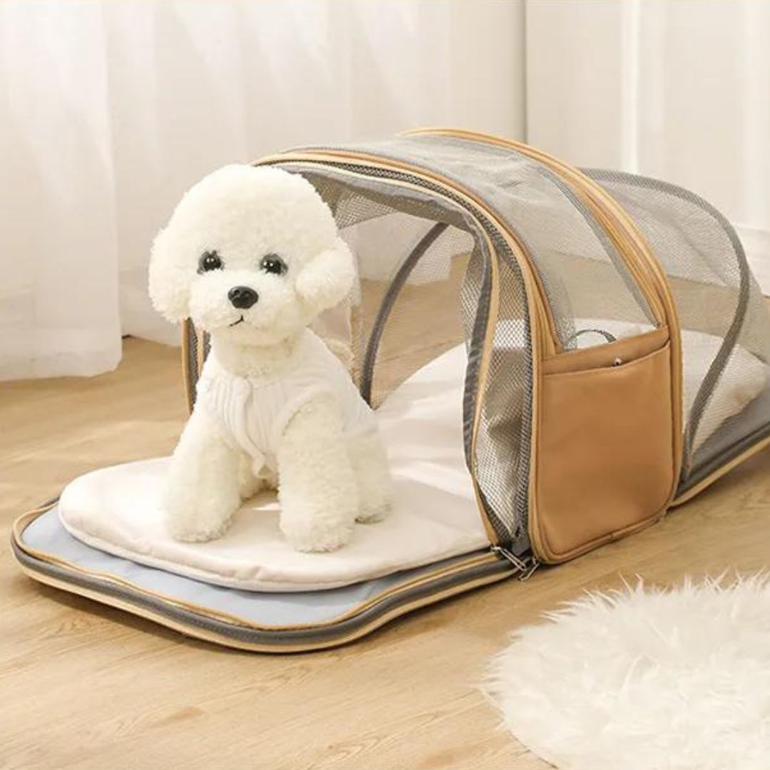 Retailer sac a dos pour chien