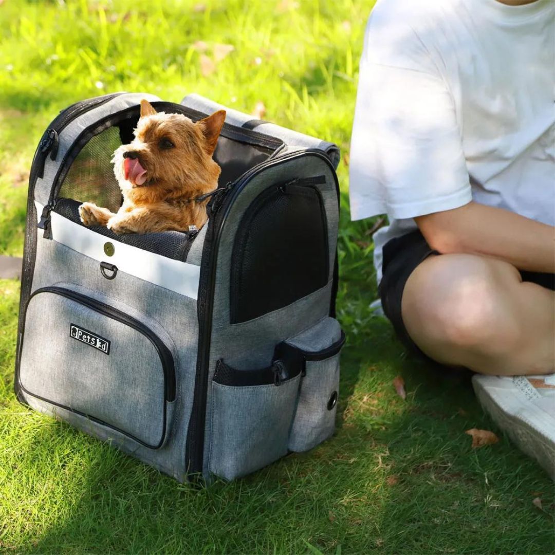 Sac À Dos Pour Chiens - Range Day Pack Harnais Chien Sacoche Sac À Dos Pour Chiens - Range Day Pack Harnais Chien Sacoche