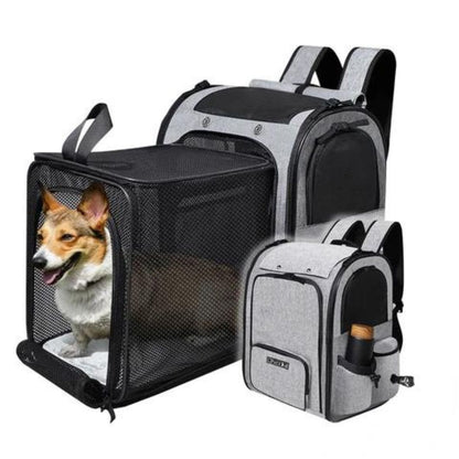 sac-a-dos-pour-chien-gris