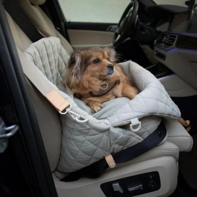 sac-pour-chien-voiture