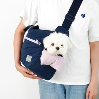 sac-transport-chien-bleu-fenetre