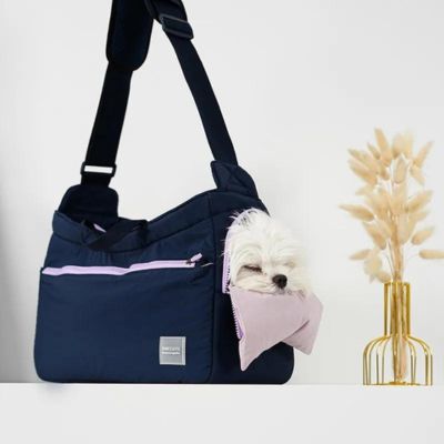 sac-transport-chien-bleu