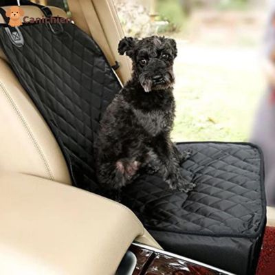 siege-auto-chien-ouvert