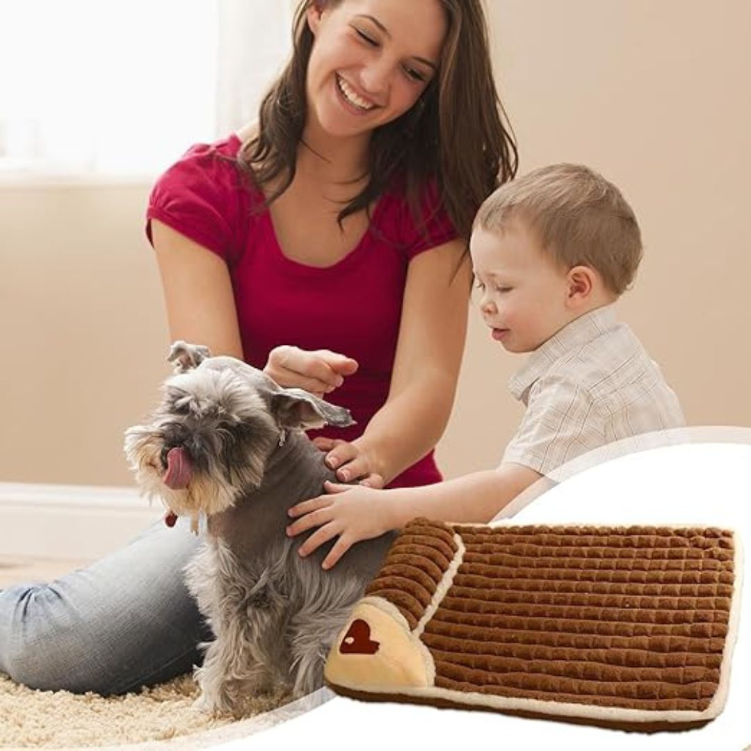 tapis-chien-brun-variante