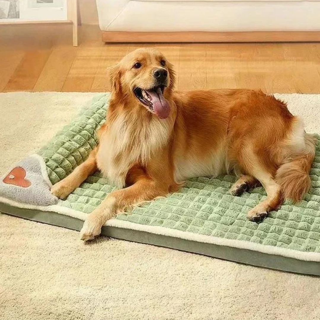 tapis-chien-vert-grand