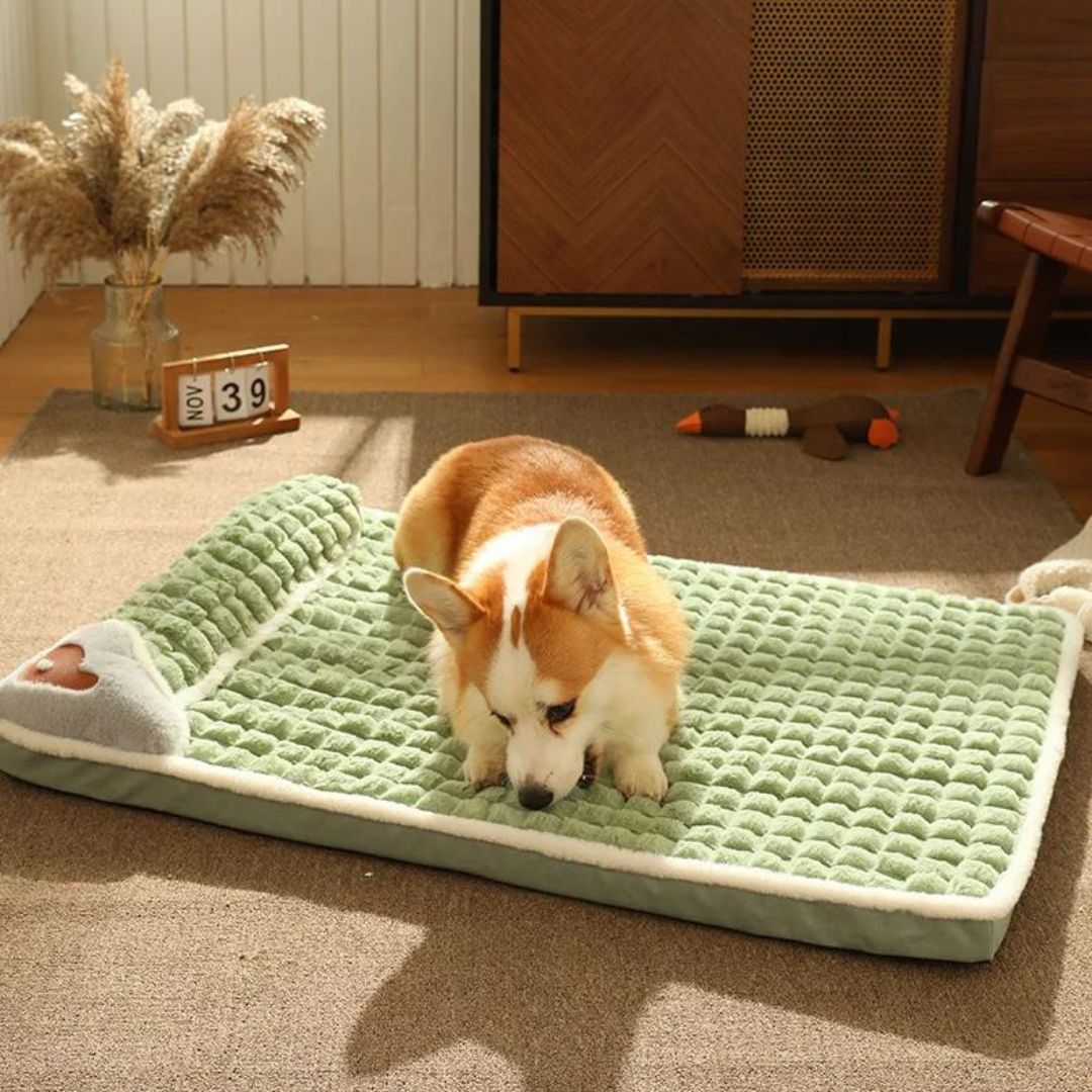 tapis-chien-vert-moelleux