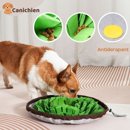 tapis-de-fouille-chien-details