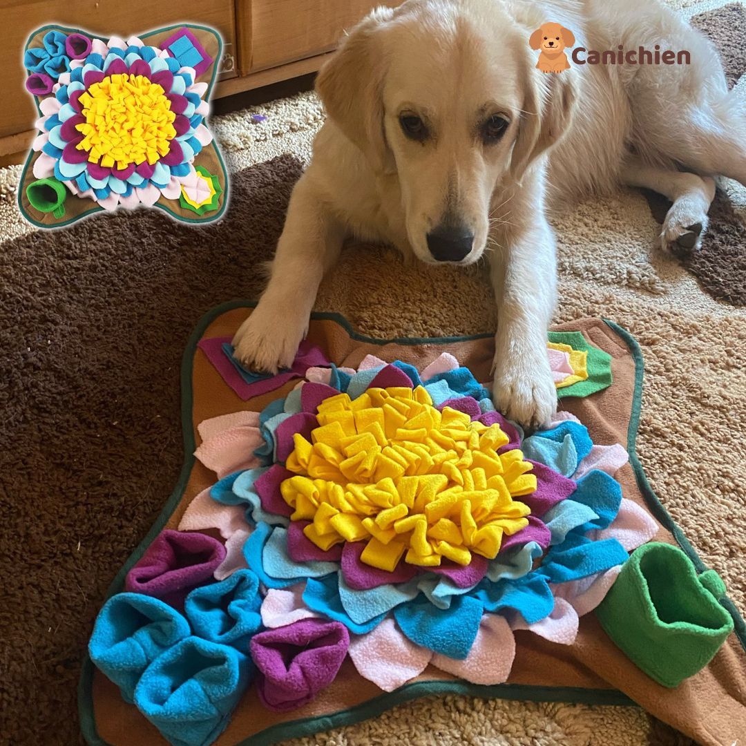 tapis-de-fouille-chien-labrador