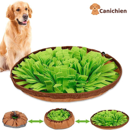 tapis-de-fouille-chien-presentation