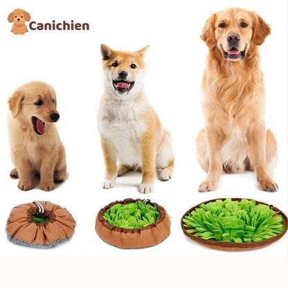 tapis-de-fouille-chien-tout-age