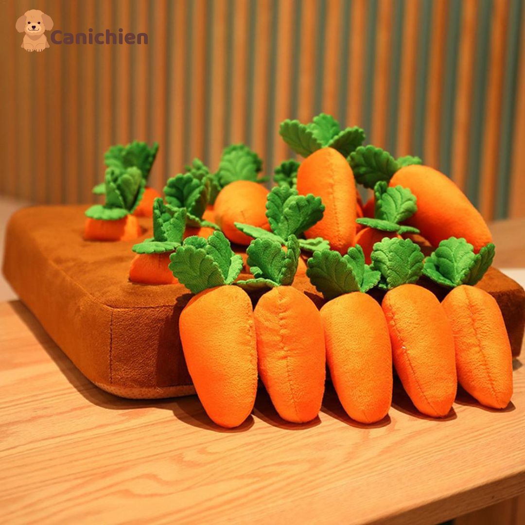 tapis-de-fouille-chien-vue-de-face-carotte