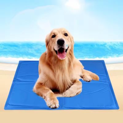 tapis-rafarichissant-chien-bleu-xl