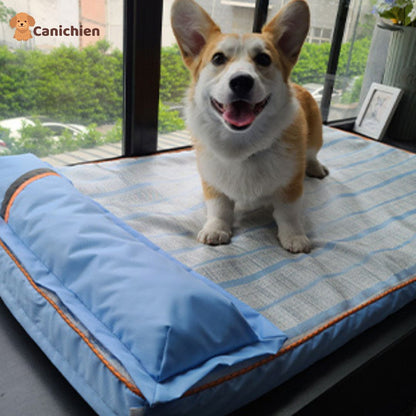 tapis-rafraichissant-chien-face