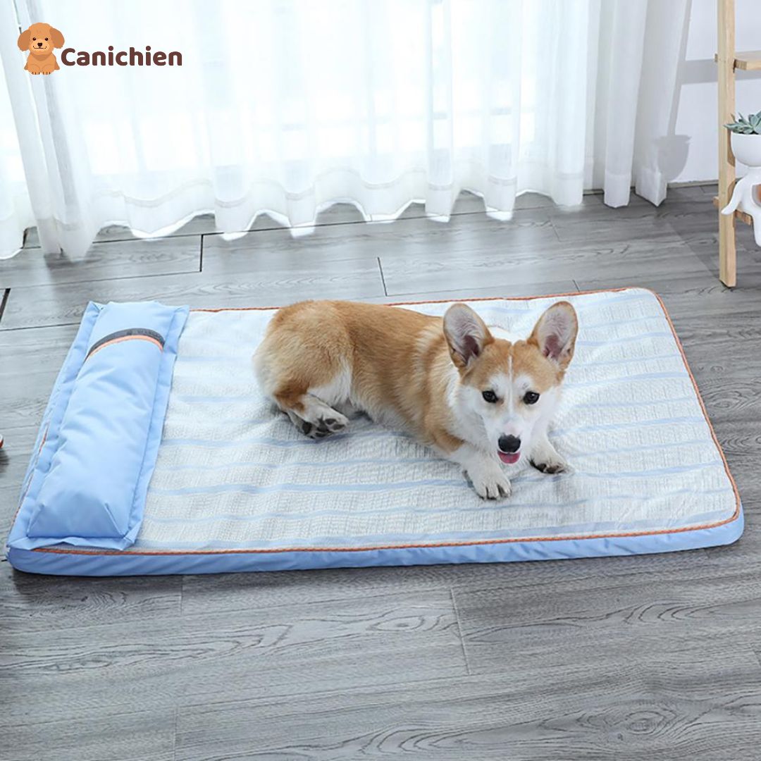 tapis-rafraichissant-chien