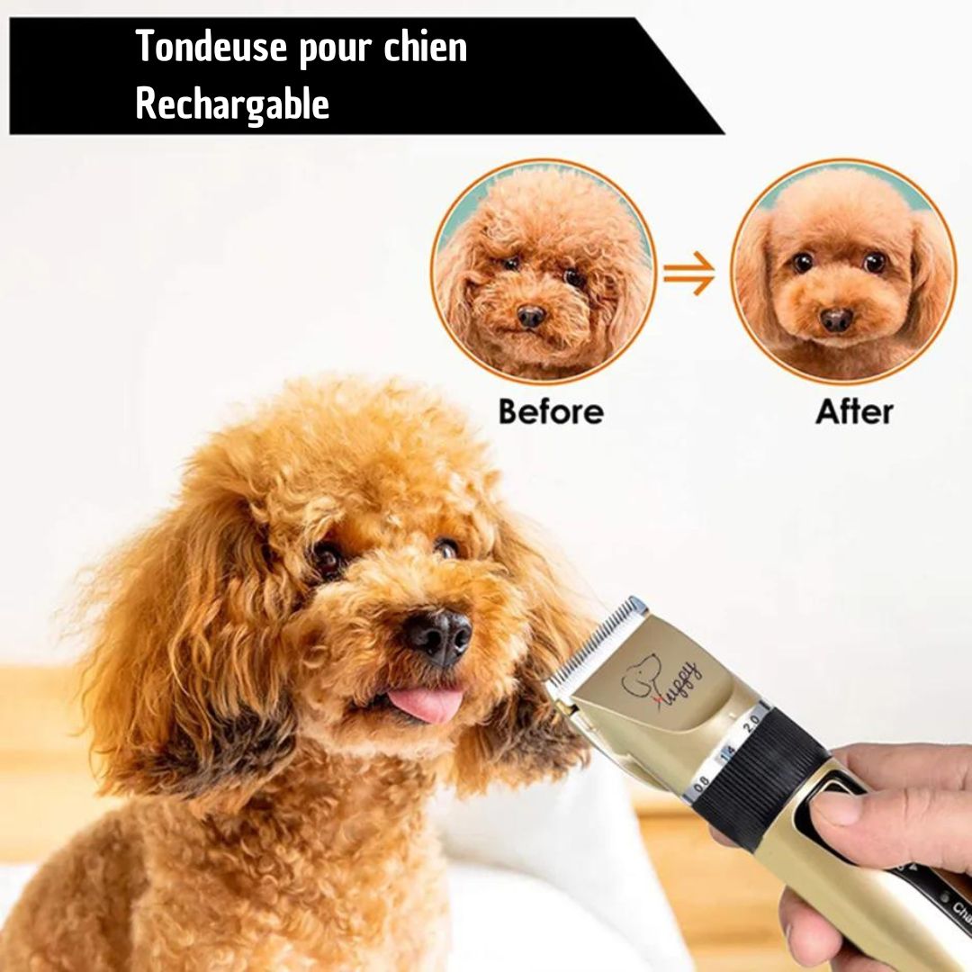 tondeuse-pour-chien-rechargeable